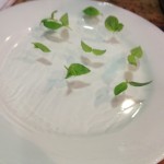 gambas verrine basilic
