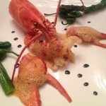 homard 16