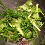 croustillant salade 4
