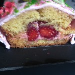 fraisier 1