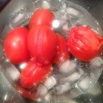 tomates eau froide