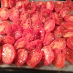 tomates plaque