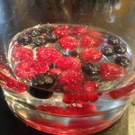 sangria 4